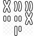 Karyotype  Icon