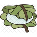 Kashiwamochi Leaf Wrapped Icon