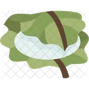 Kashiwamochi Leaf Wrapped Icon
