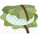 Kashiwamochi Leaf Wrapped Symbol