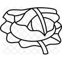 Kashiwamochi Leaf Wrapped Symbol