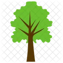 Kastanienbaum  Symbol