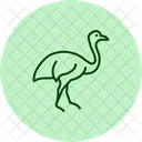 Kasuar  Symbol