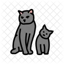 Katzchen Katze Zucht Symbol