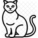 Katze  Symbol