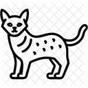 Katze  Symbol