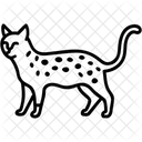Katze  Symbol