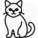 Birma Rasse Liebevoll Symbol