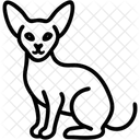 Katze  Symbol