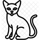Katze  Symbol