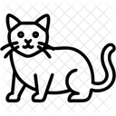 Katze  Symbol