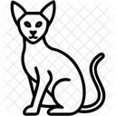 Orientalisch Kurzhaar Rasse Glatt Symbol