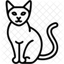 Siamkatze Rasse Katze Symbol
