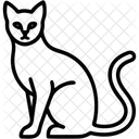 Siamkatze Rasse Katze Symbol