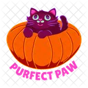 Katze Katzenartige Thanksgiving Symbol