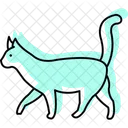 Katze Haustier Katzenartige Symbol