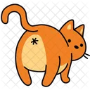 Katze Haustier Tier Symbol