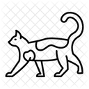 Katze Katzenartige Schnurren Symbol