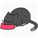 Katze Haustier Tier Symbol