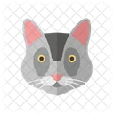 Katze  Symbol