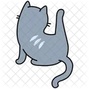 Katze Haustier Tier Symbol