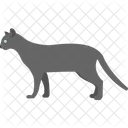 Katze  Symbol