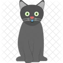 Katze  Symbol