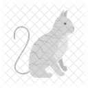 Katze  Symbol