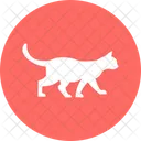 Katze Katzenartige Hauskatze Symbol