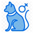 Katze  Symbol