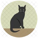 Katze Schwarz Unheimlich Icon