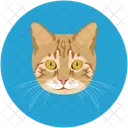 Katze  Symbol