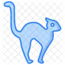 Katze  Symbol