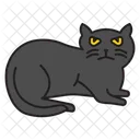 Katze  Symbol