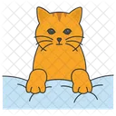 Katze auf Kissen  Symbol