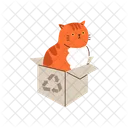 Katze Sitzend Box Symbol
