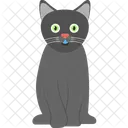 Bose Katze Gruselig Icon