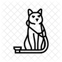 Stethoskop Katze Zucht Symbol