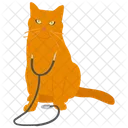 Katze mit Stethoskop  Symbol