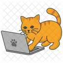 Katze Spielt Laptop Katze Spielen Icon