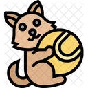 Katzenball Katzenspielzeug Katze Symbol