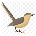 Katzenvogel Dumetella Carolinensis Art Symbol