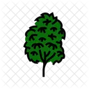Kauri Tree Jungle Icon