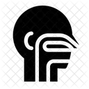 Hals Nasen Ohrenheilkunde Symbol