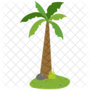Kentia palm tree  Icon