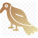 Kestrel Animal Bird Icon