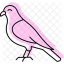 Kestrel Bird Falcon Icon