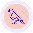 Kestrel Bird Falcon Icon