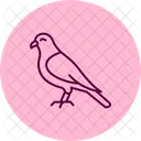 Kestrel Bird Falcon Icon