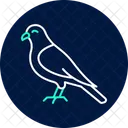 Kestrel Bird Falcon Icon